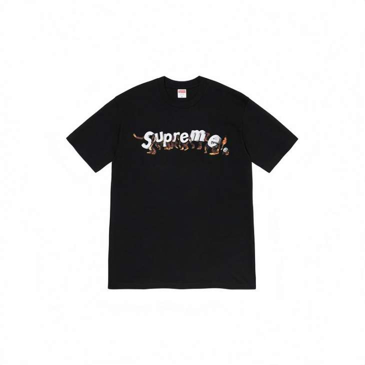 Picture of Supreme T Shirts Short _SKUSupremeS-2XLthtxS381276